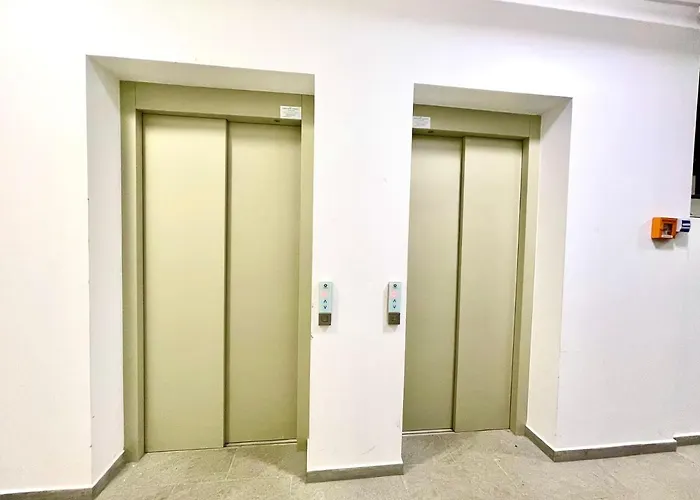 Garden By The Forest * Timişoara